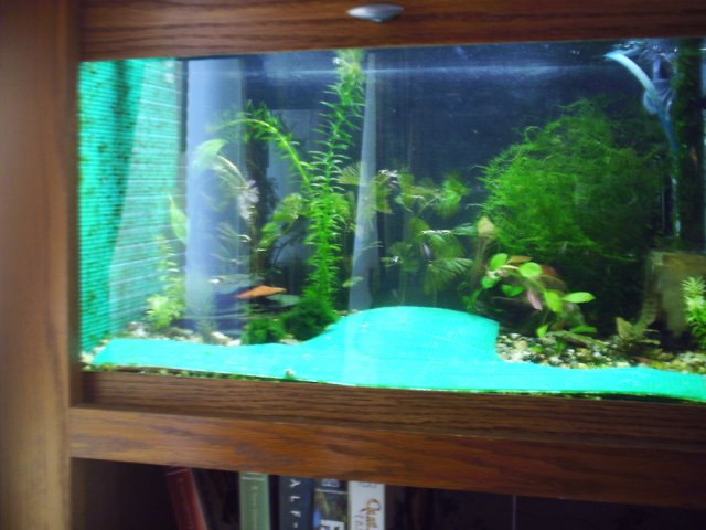 IMAG0002.JPG