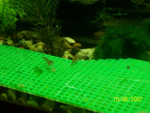 100_0487.JPG