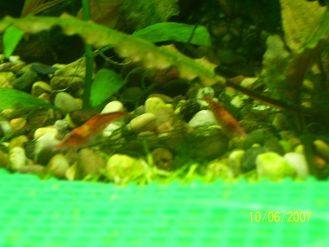 100_0492.JPG