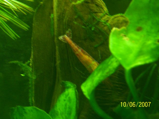 100_0494.JPG