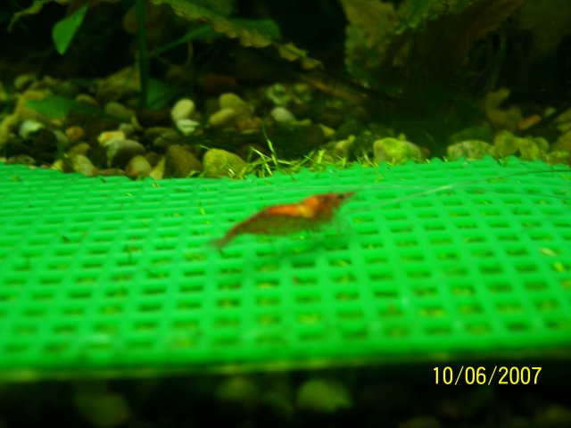 100_0497.JPG