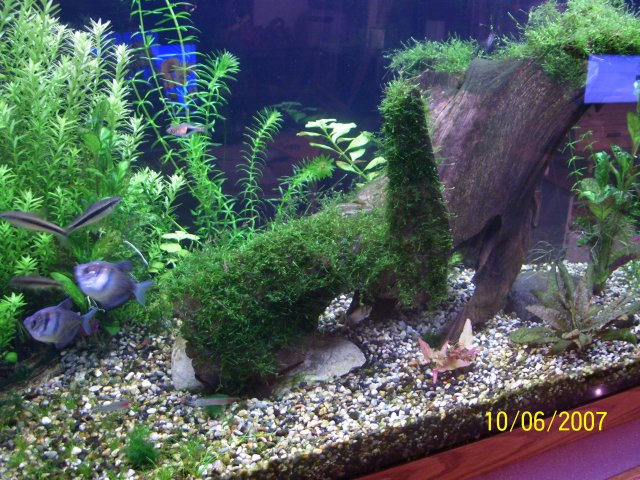 100_0500.JPG