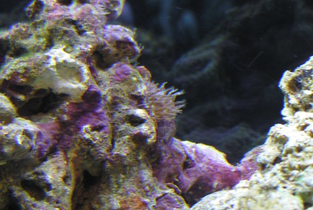 DSCN2968.jpg