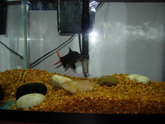 DSCN0124.JPG