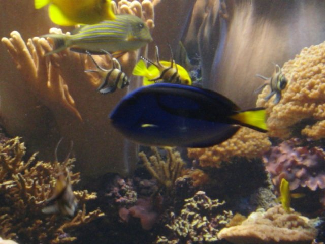 Dori2.jpg