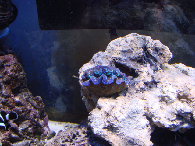 DSC00888.JPG