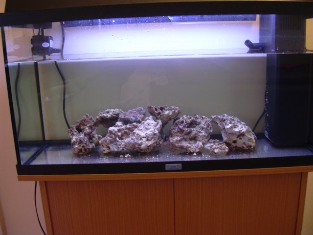 new tank 226.jpg