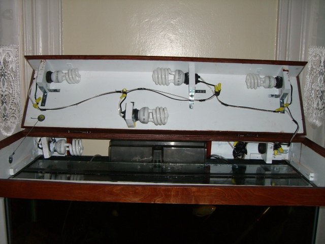 Finished Hood 017A.jpg
