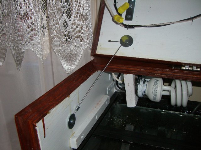 Finished Hood 016A.jpg