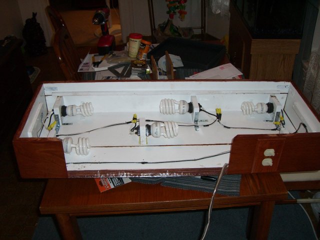 Finished Hood 034A.jpg