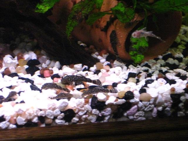 IMG_0395 (Small).jpg