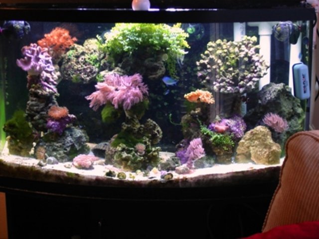 Picture 039.jpg