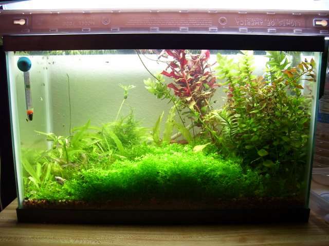 100_0826.JPG