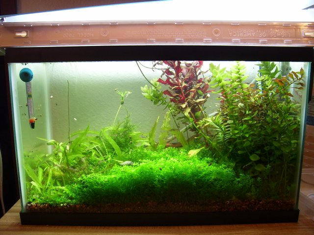 100_0835.JPG