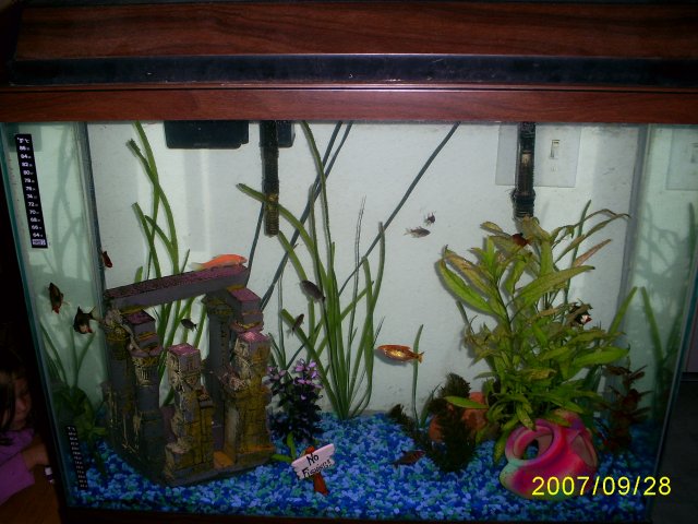 Vannah--fishies--10-20-07 003.jpg