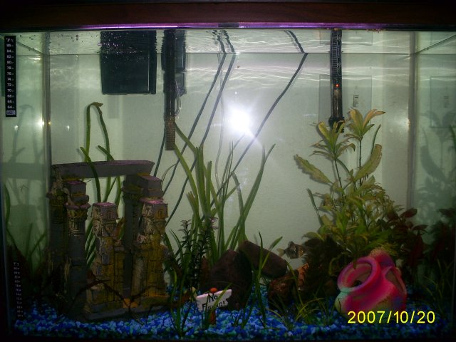 Vannah--fishies--10-20-07 024.jpg