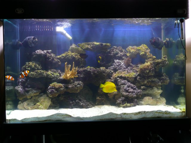 Picture 018.jpg