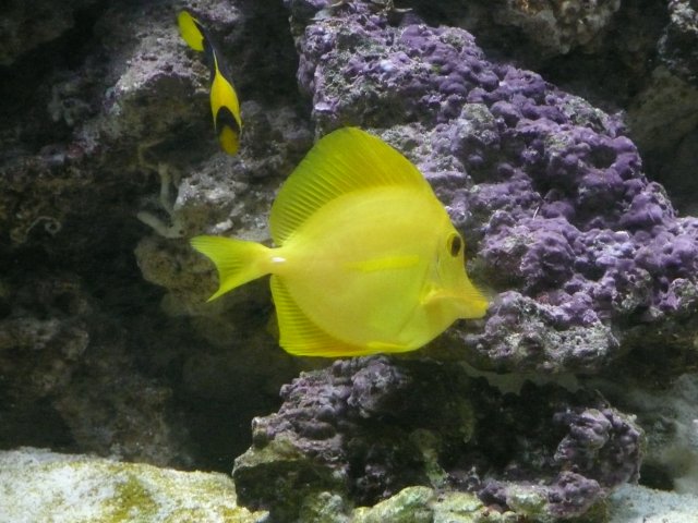 Picture 012.jpg