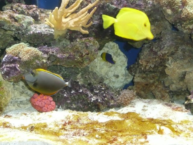 Picture 020.jpg