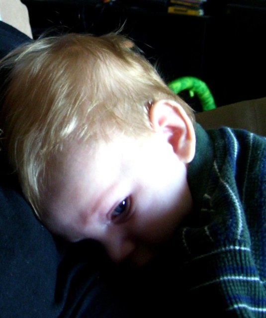 100_1398.jpg 100_1398.jpg