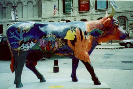 fishcow.jpg