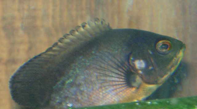 DSCN0149.jpg