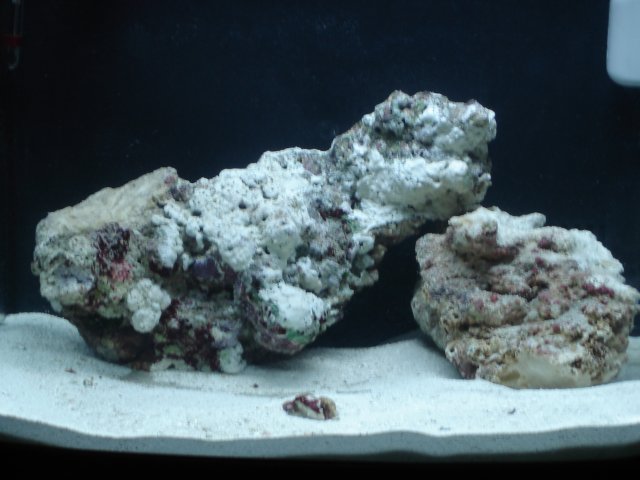 DSC00539.JPG