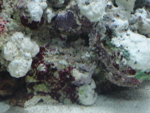DSC00543.JPG