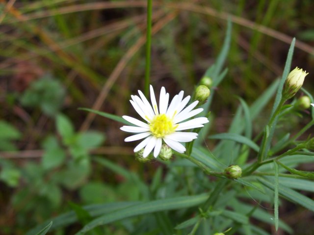 100_0482.JPG