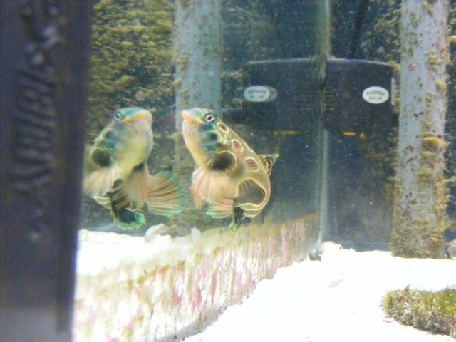2007_1029cameranew0094.JPG