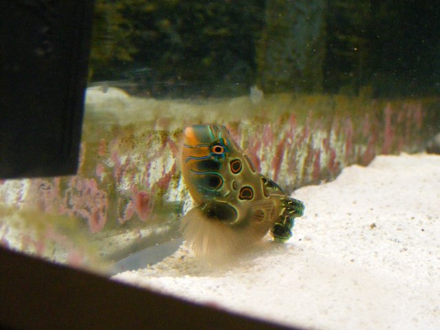 2007_1029cameranew0100.JPG