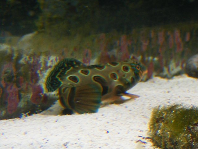 2007_1029cameranew0105.JPG
