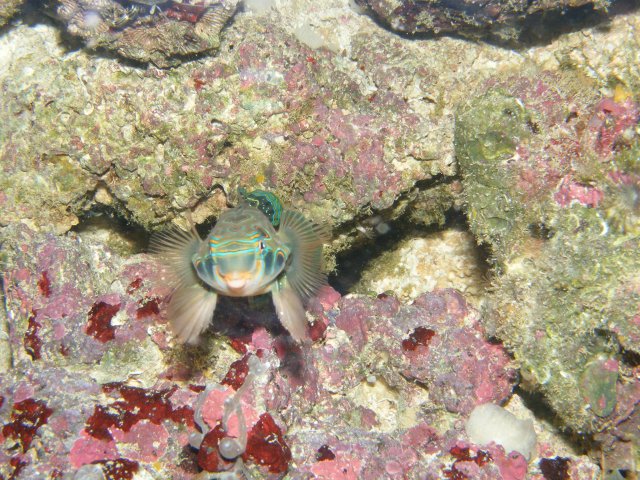 2007_1029cameranew0110.JPG
