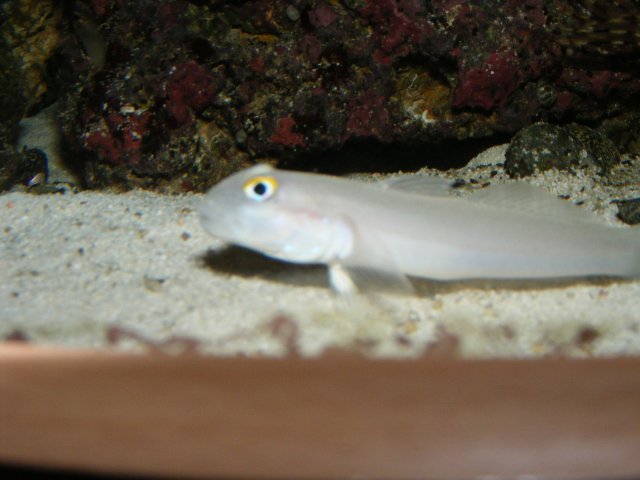 2007_1029cameranew0115.JPG