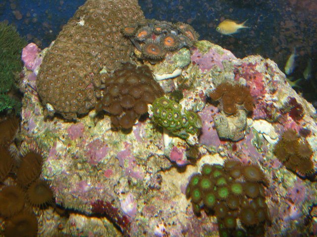 2007_1029cameranew0025.JPG