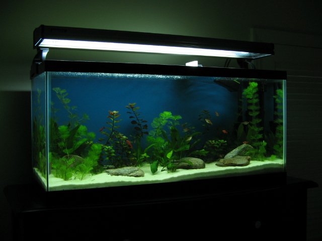 STA_0008.JPG