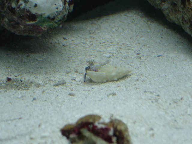 DSC00545.JPG