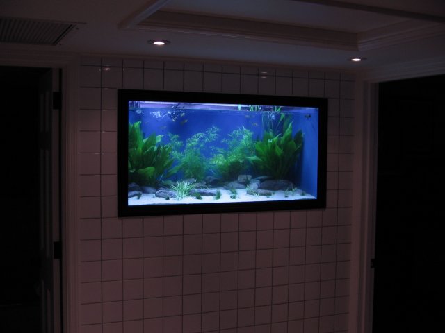 STJ_0027.JPG