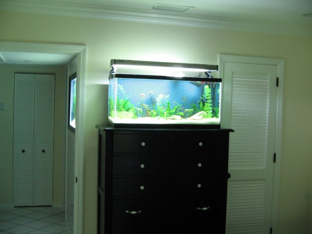 STA_0001_2.JPG