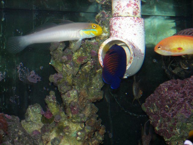 100_0830.JPG