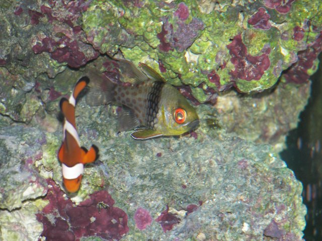 100_0762.JPG