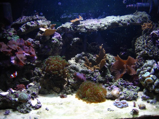 IMG_1401.JPG