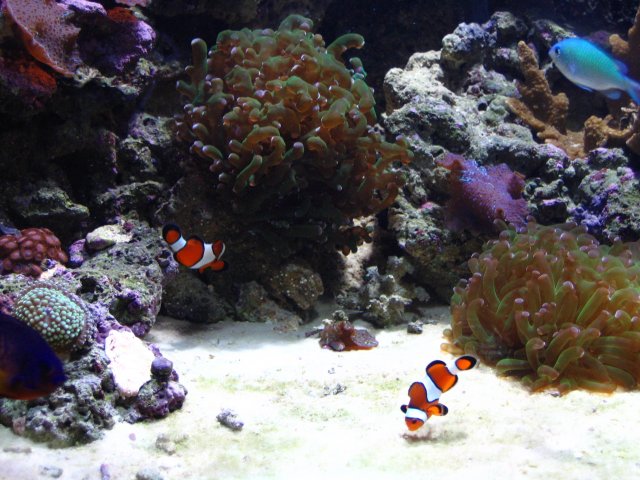 IMG_1406.JPG