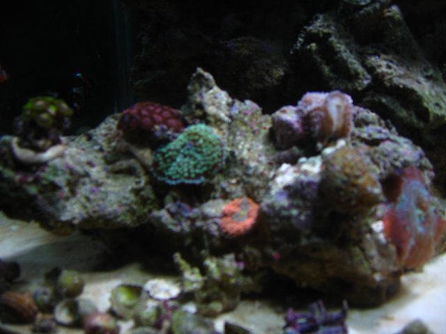 IMG_1280.JPG