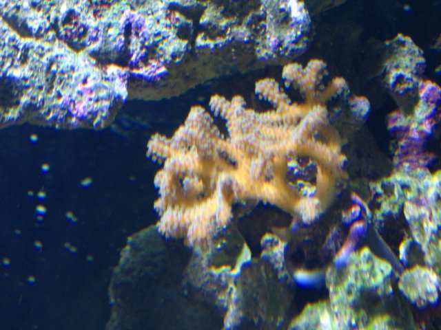 IMG_1397.JPG