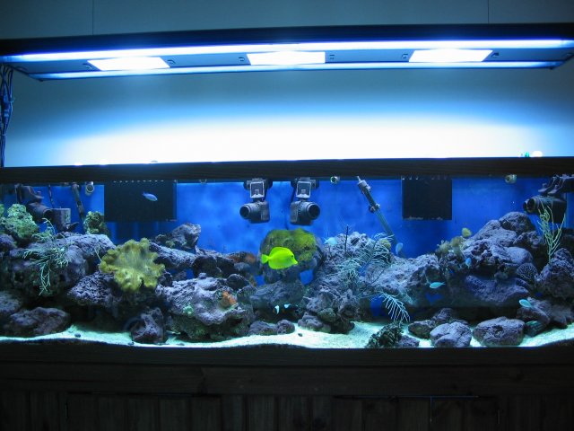 Center 3 Nov. 2007.JPG