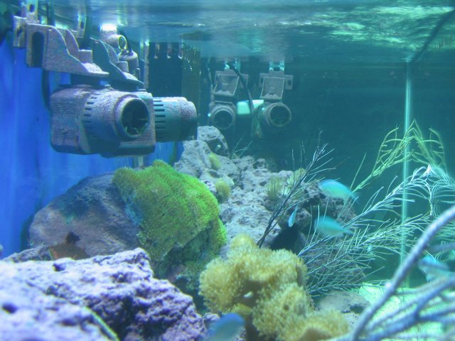 IMG_2425.JPG