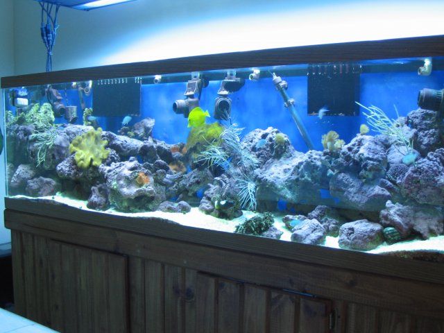 Right Side 3 Nov. 2007.JPG