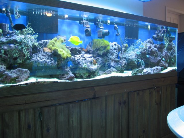 Left Side 3 Nov. 2007.JPG