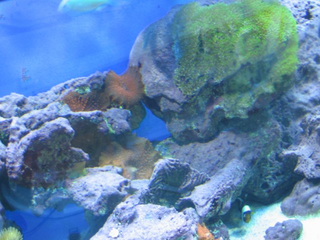 IMG_2410.JPG
